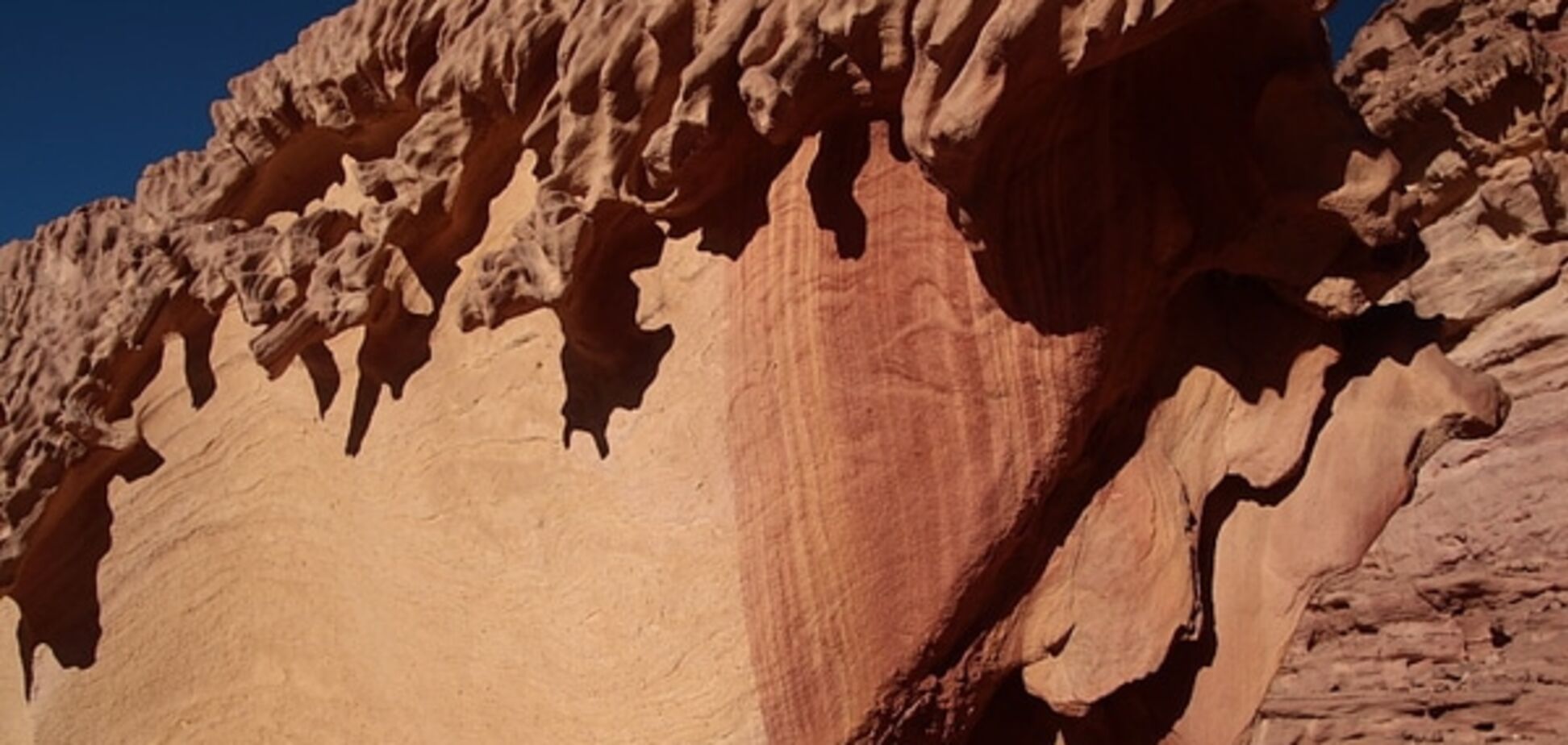 Мировые авиакомпании перестали летать над Северным Синаем