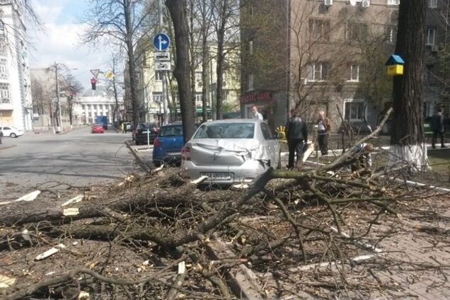 В Киеве объявили штормовое предупреждение на 11 ноября