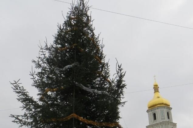 У центрі Києва встановили першу новорічну ялинку: опубліковані фото