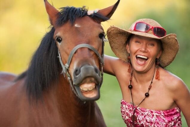 Выбрана самая смешная фотография животного за 2015 год