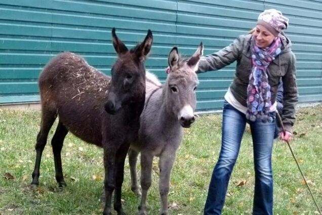 В зоопарке Межигорья появились уникальные обитатели из 'Аскании': опубликованы фото