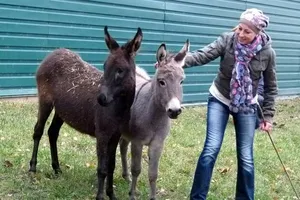 У зоопарку Межигір'я з'явилися унікальні мешканці з "Асканії": опубліковано фото