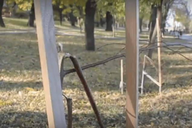 В Одессе полностью уничтожили аллею Небесной сотни: видеофакт