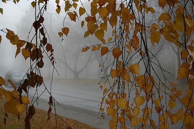 Погодный рекорд: минувшая ночь в Киеве стала самой теплой за 134 года