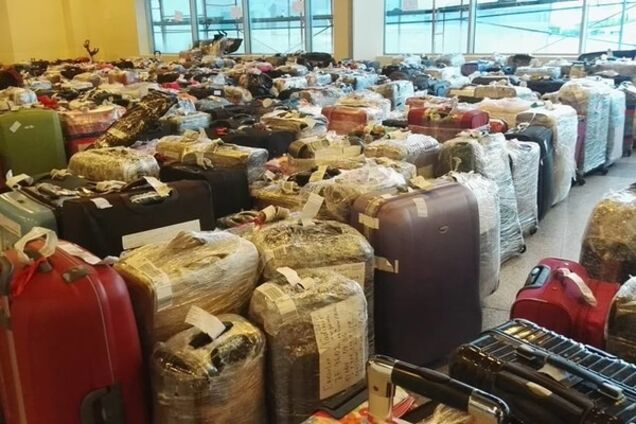Ад в Москве: аэропорты завалены чемоданами из Египта, фотофакт