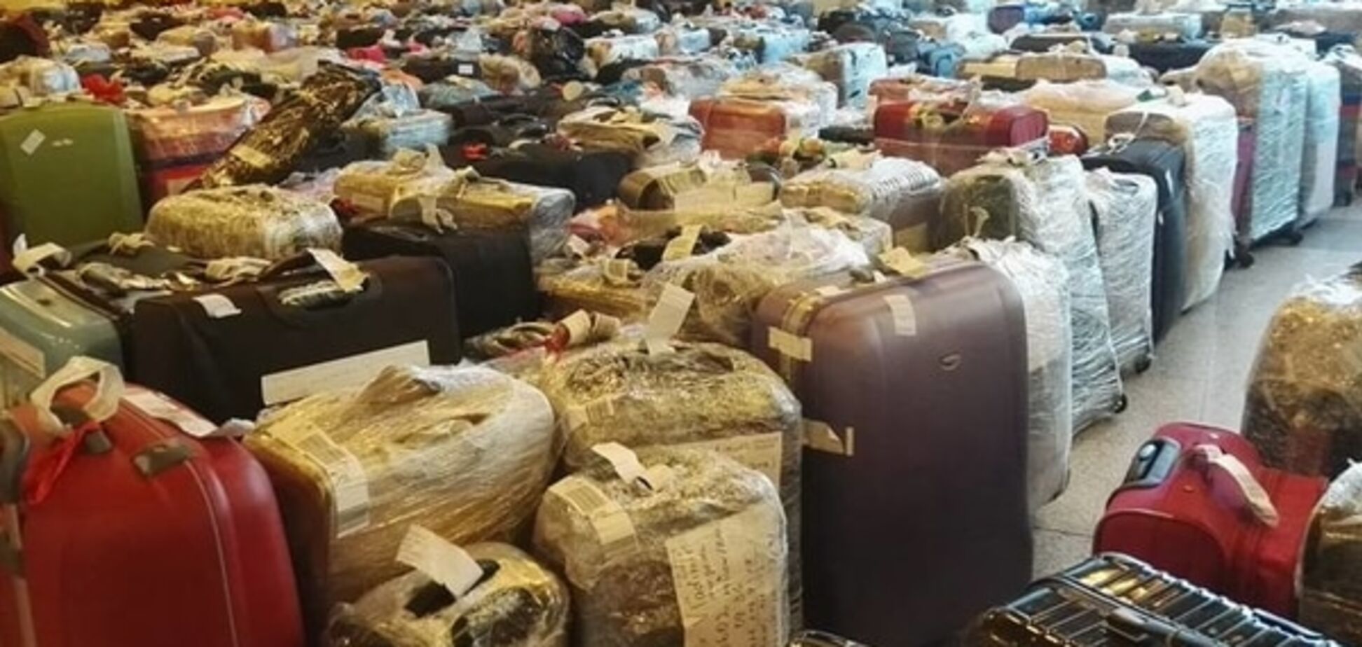 Ад в Москве: аэропорты завалены чемоданами из Египта, фотофакт