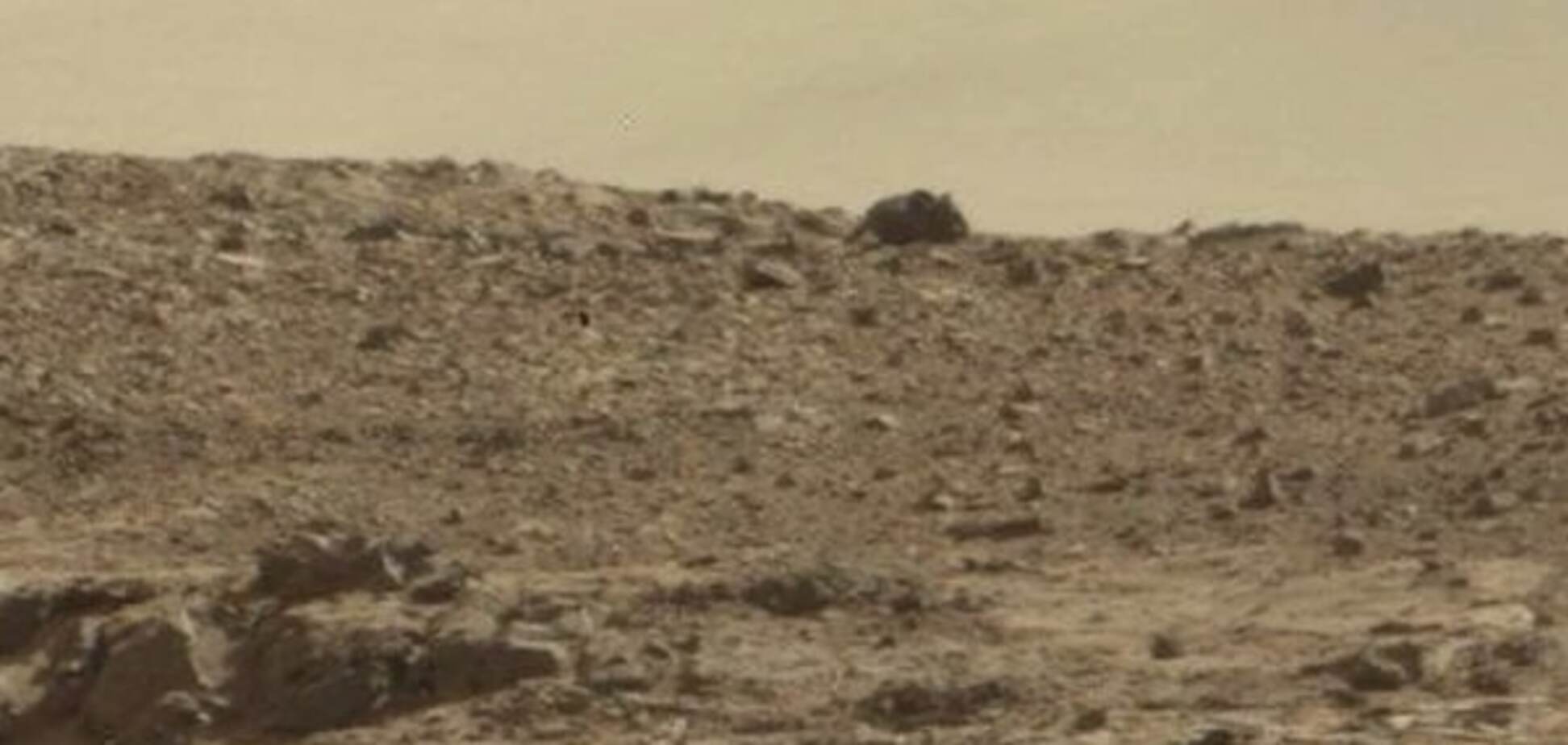 Исследователи нашли на Марсе 'космическую мышь': фотофакт