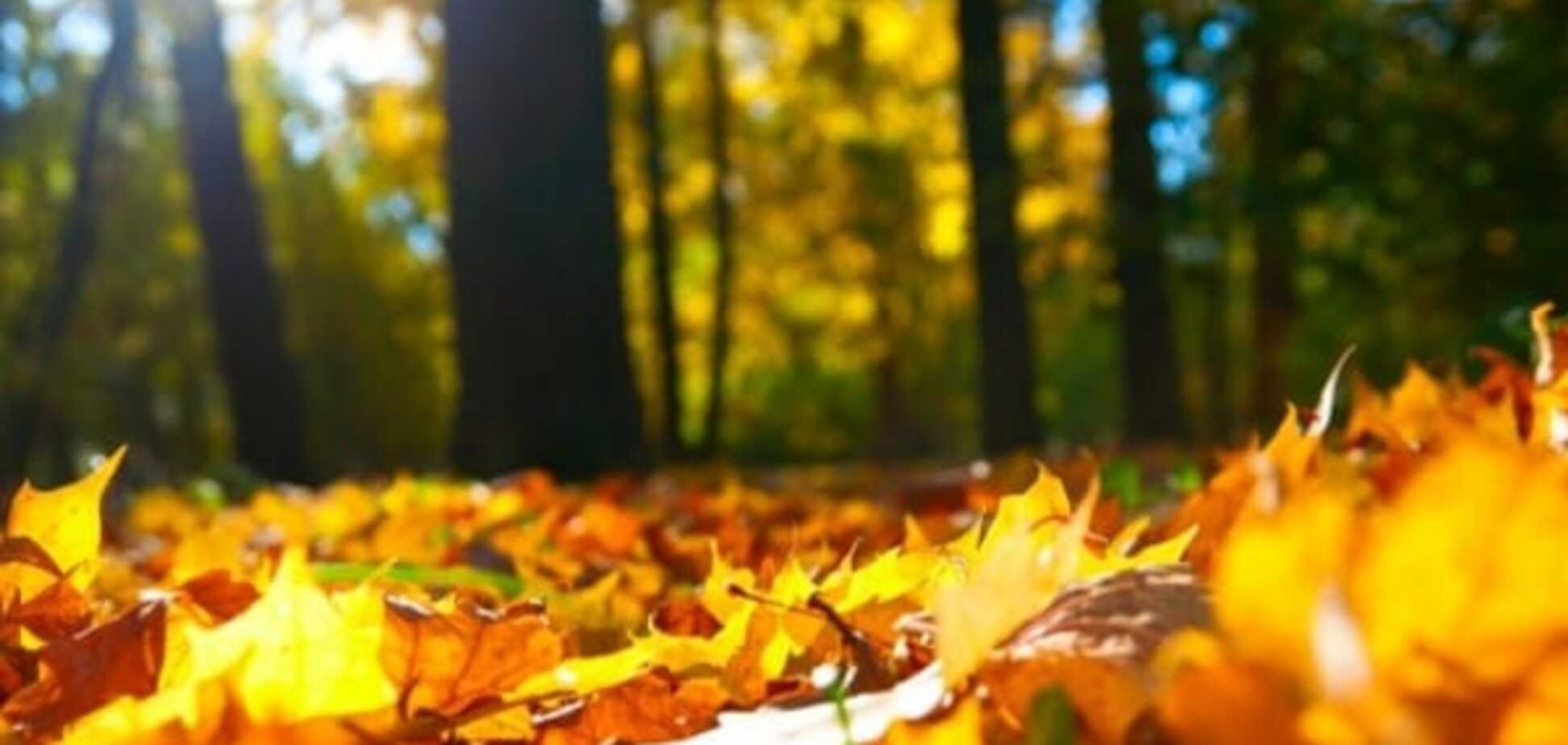 Какой будет погода в начале следующей недели: прогноз