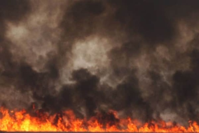 На Одесщине возник пожар в уникальном заповеднике