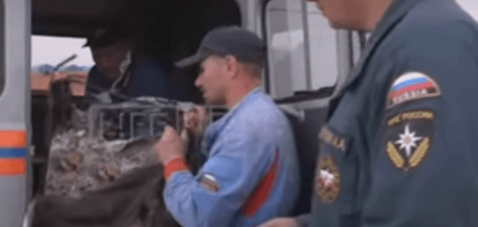 Найден чемодан, который мог взорвать российский А321: видеофакт