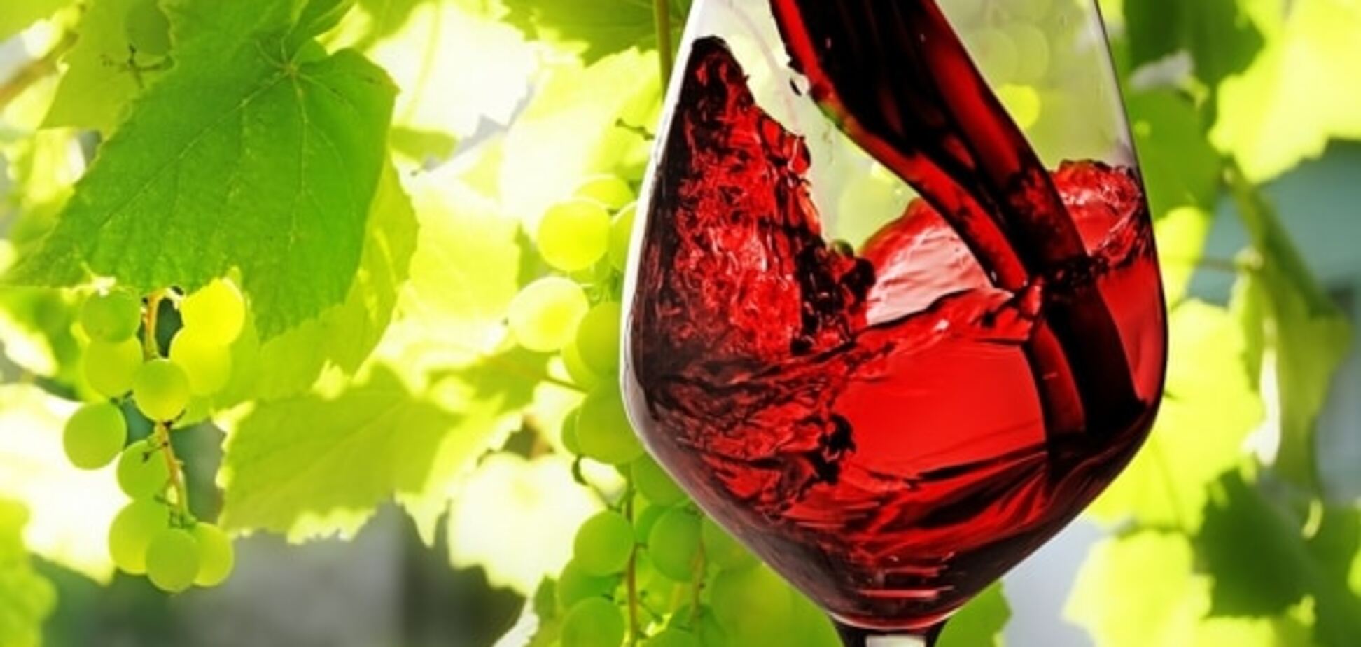 Выводит токсины и предотвращает рак: 10 причин пить больше красного вина