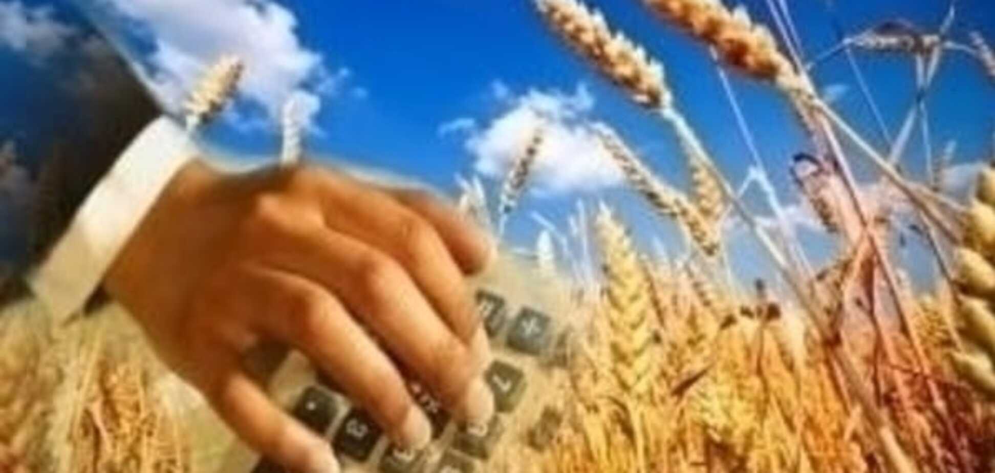 Море по колено: как повлияет на аграриев продэмбарго России