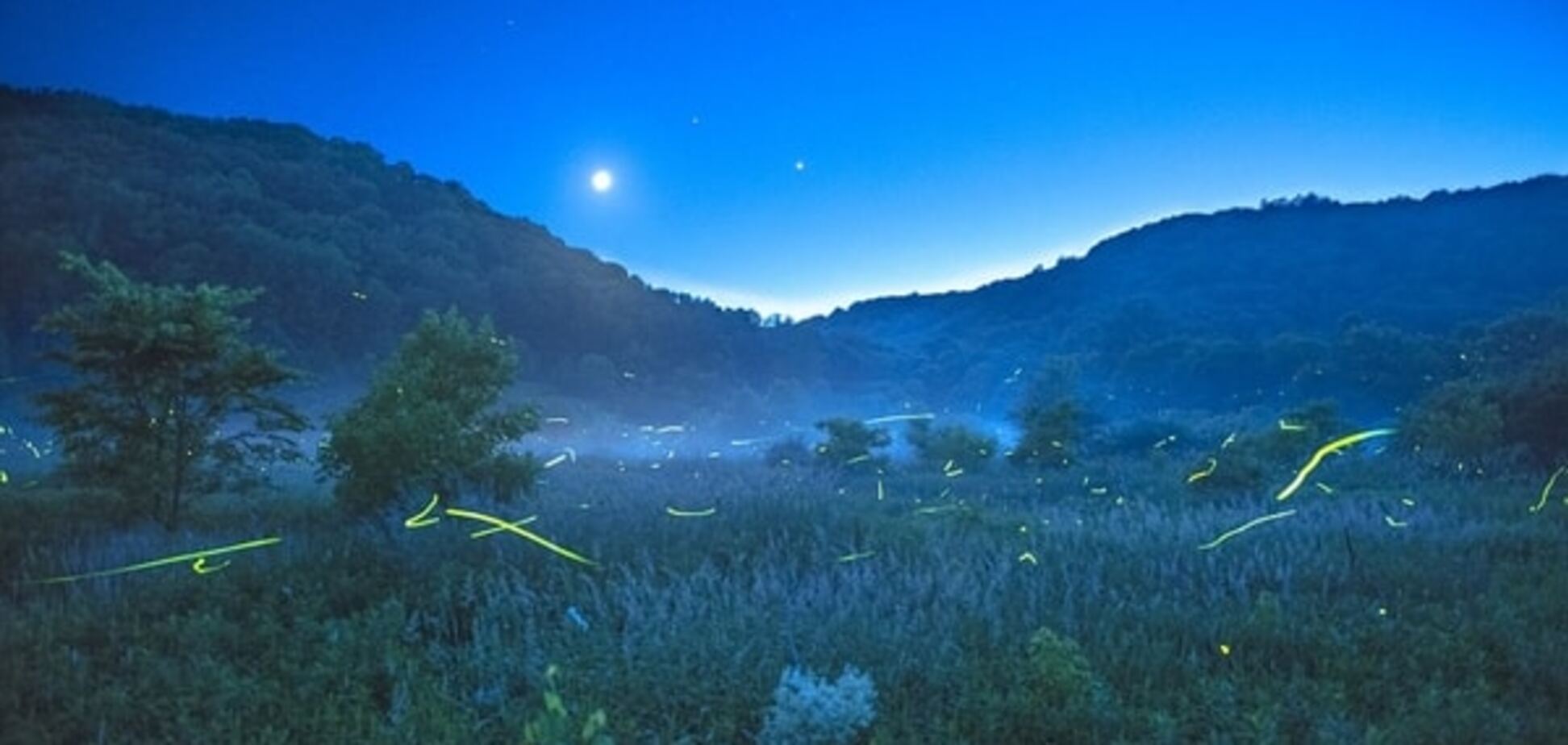 Фотограф снял светлячков на фоне звездного неба: захватывающие дух снимки