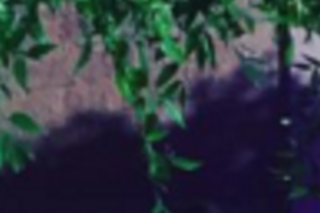 Случай в гримерке: Собчак пришла на благотворительный аукцион в прозрачном платье