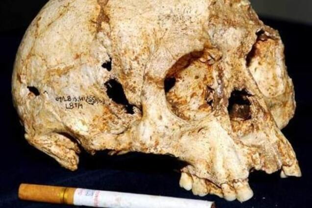 Ждем орков: ученые доказали, что 'хоббиты' были отдельным видом людей