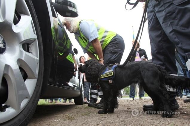 ЕС 'закрывает' Шенген: границы будут усиленно охраняться