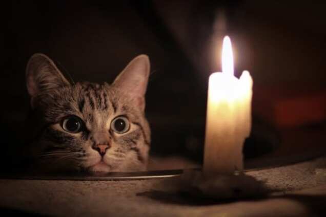 В сети опубликовали график подачи электроэнергии в Крыму