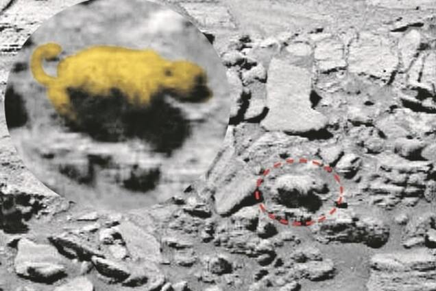 Есть ли жизнь на Марсе: на красной планете увидели медведя ростом с мышь. Фотофакт