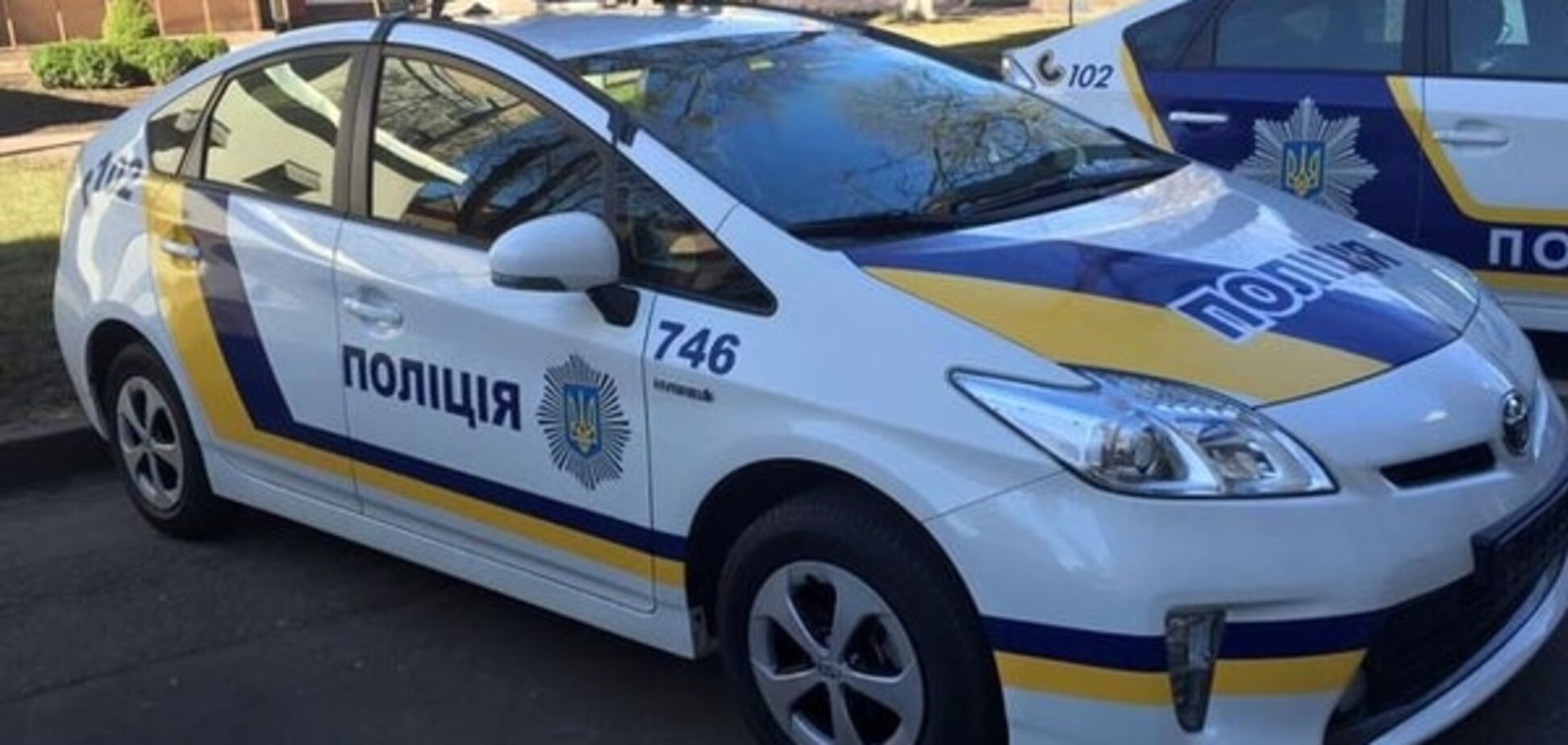 Во Львове пьяные дамочки избили полицейских