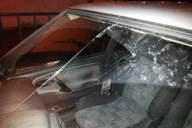 Во Львове пьяные женщины устроили погром в кафе: фото- и видеофакт