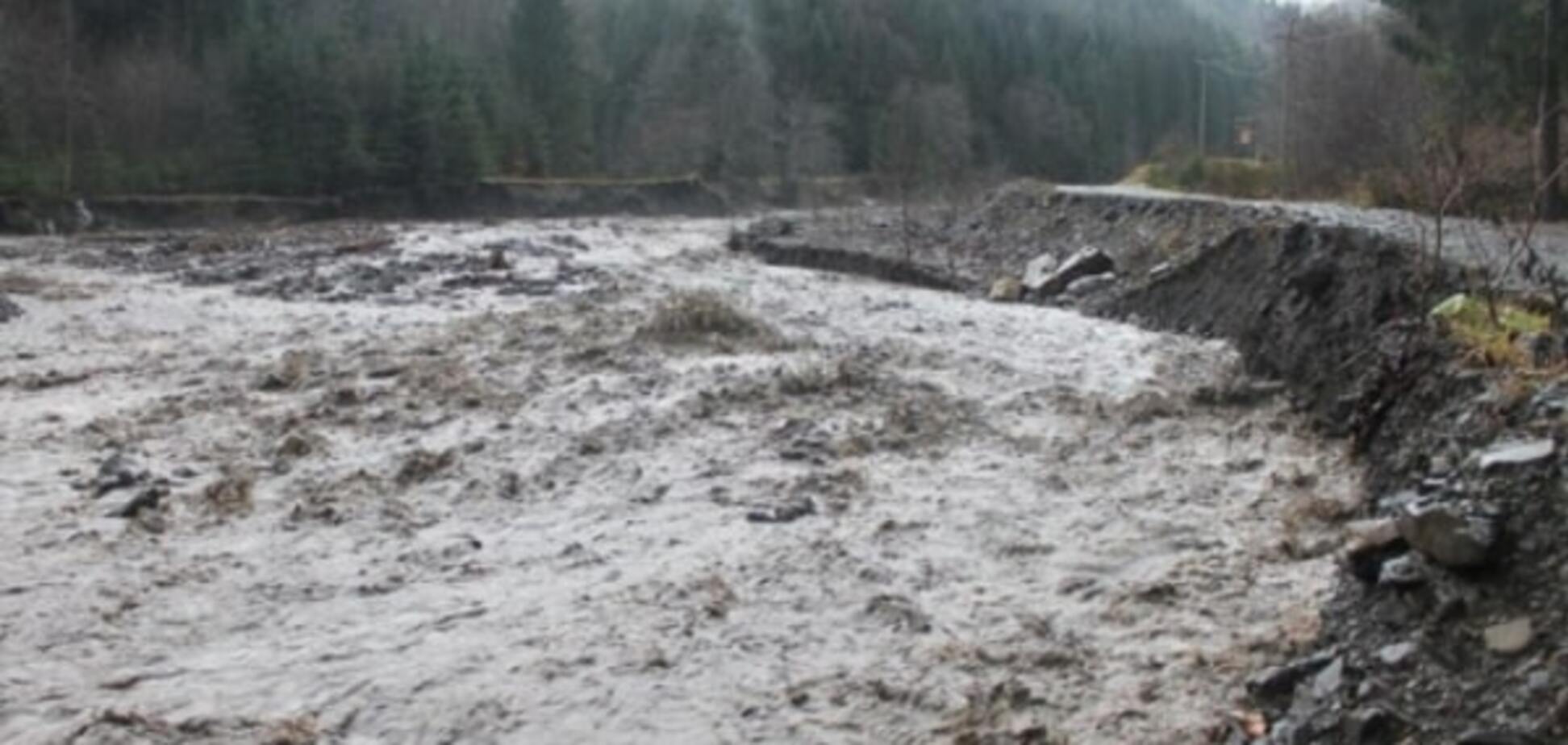 Сумма ущерба от паводка на Закарпатье свыше 2 млрд грн - Москаль