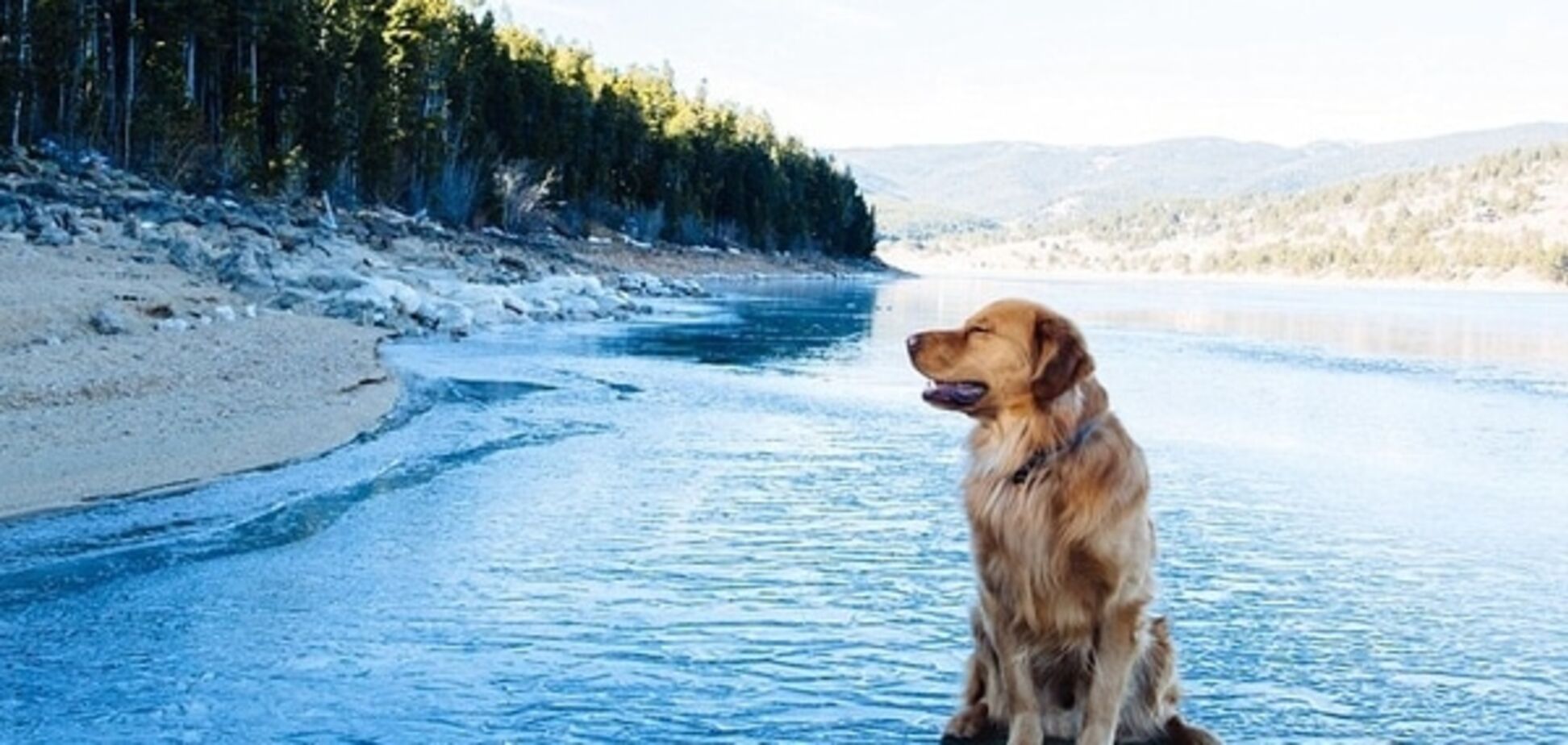 Парень со своим псом путешествует по миру: фото неразлучных друзей