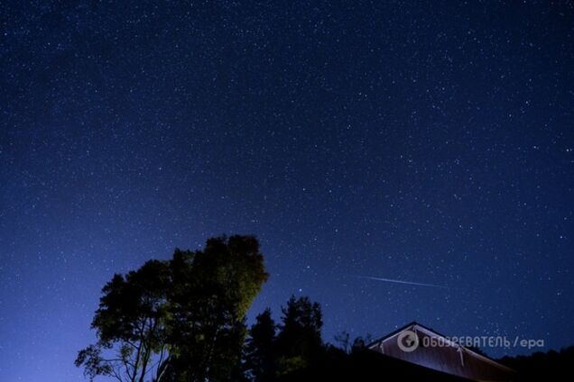 Ученые раскрыли секрет животного, которое выживет в космосе