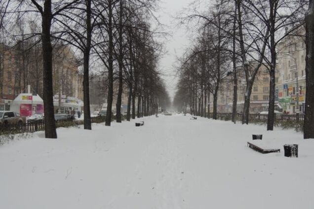 Киев заметет первым снегом