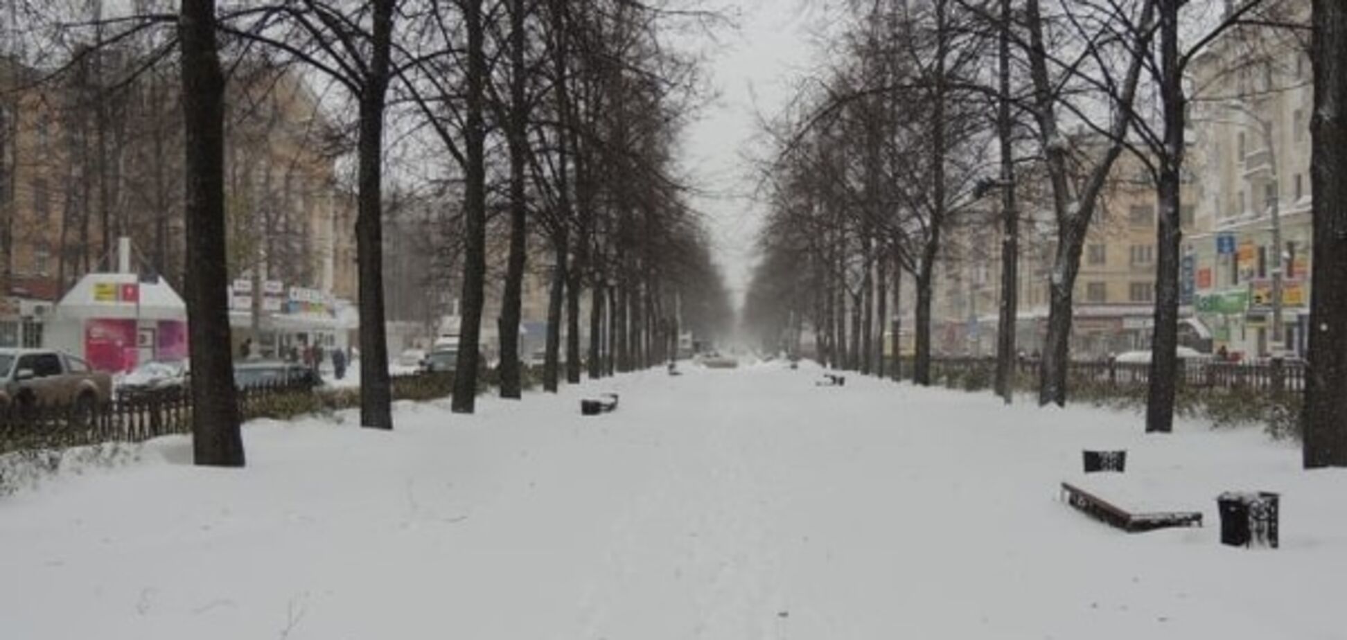 Киев заметет первым снегом