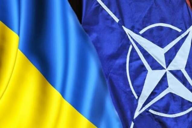 Амбітні цілі: в Україні затвердили план переходу армії на стандарти НАТО