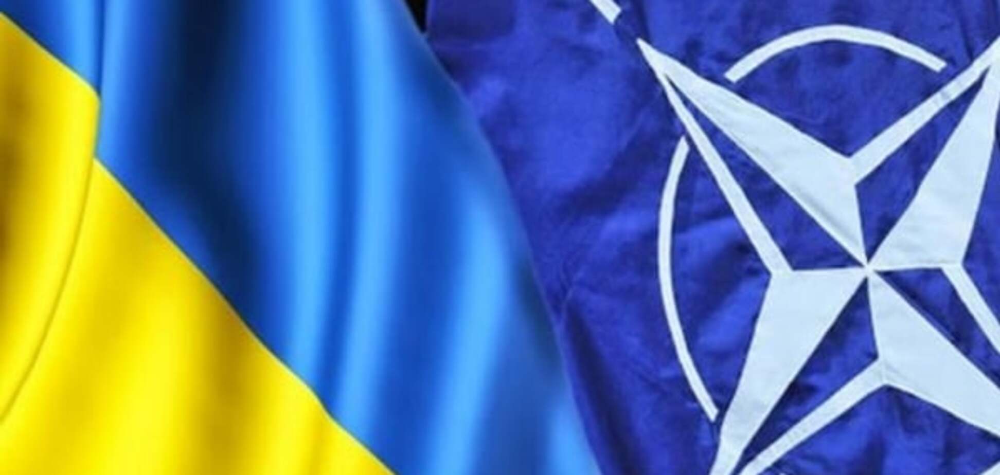 Амбициозные цели: в Украине утвердили план перехода армии на стандарты НАТО