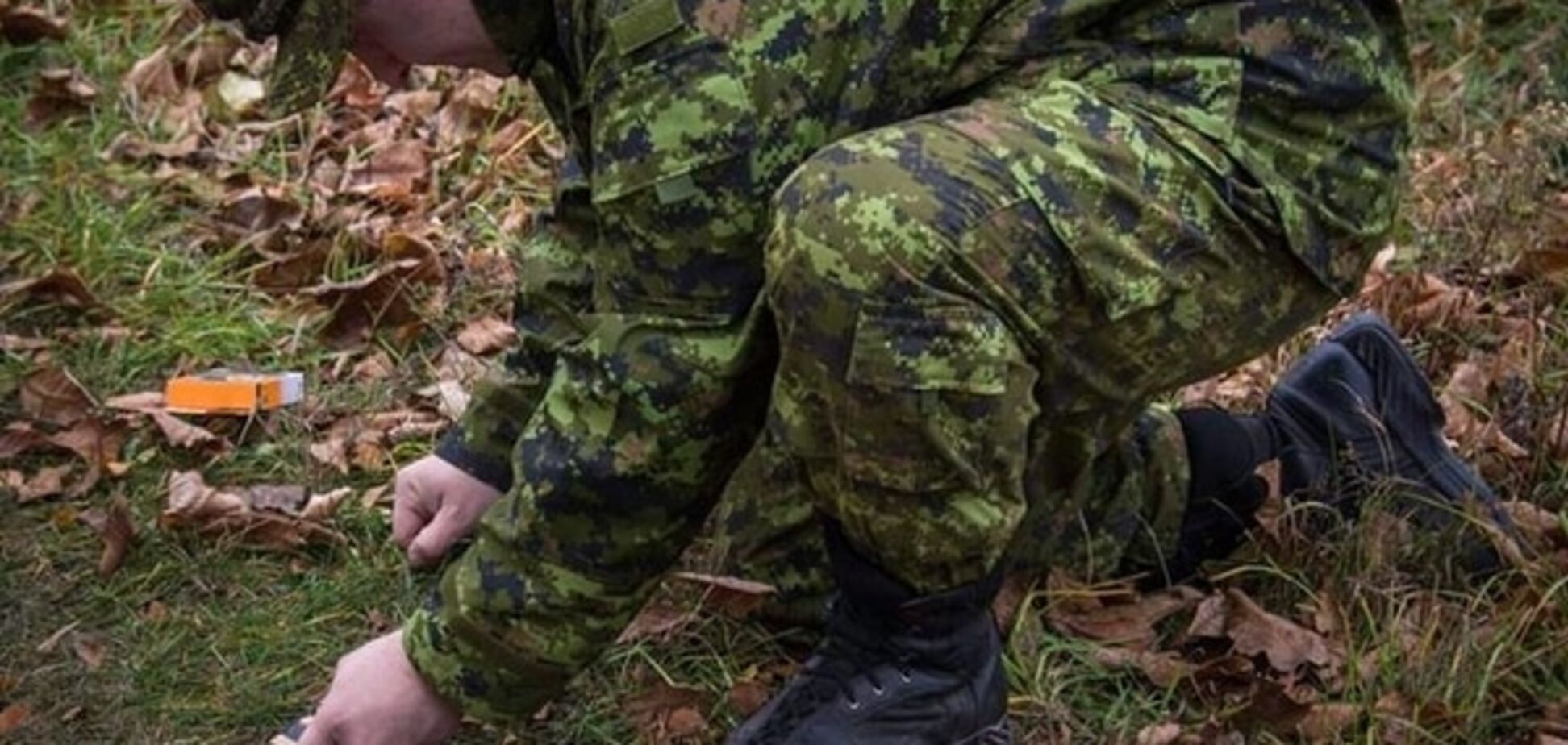 Украина получит военную помощь от Канады на $2,5 млн