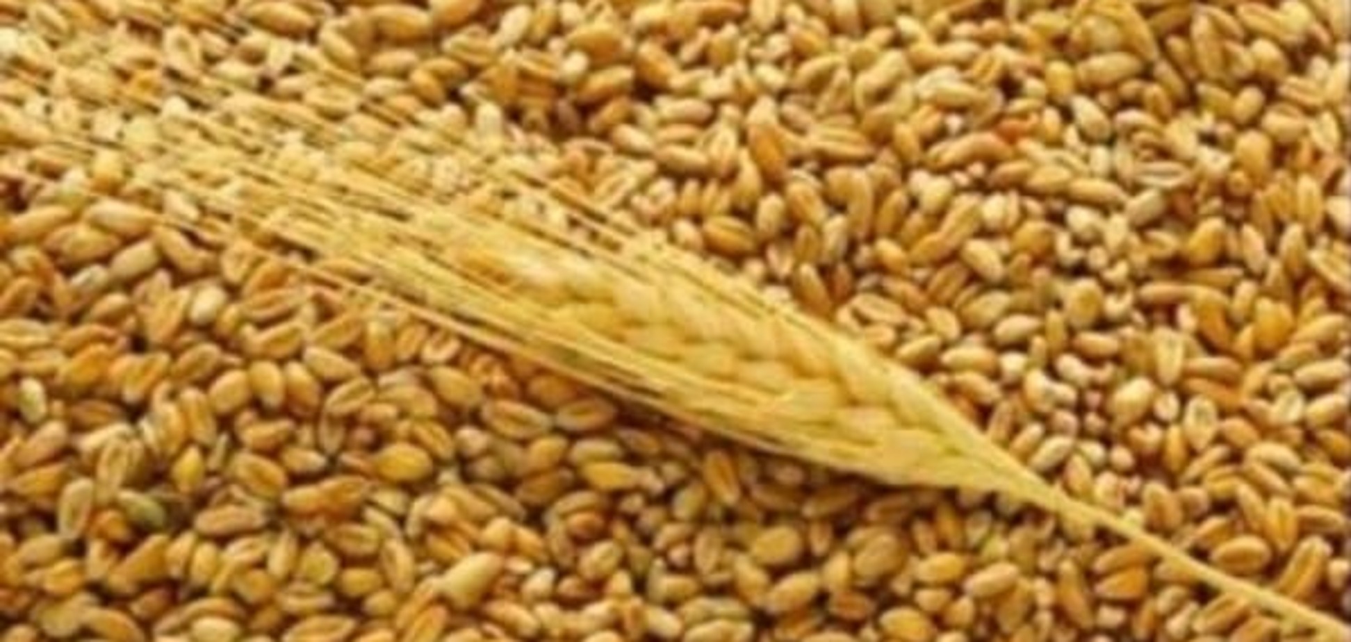 Карт-бланш: Росія звільнила Україні нішу в турецькому експорті