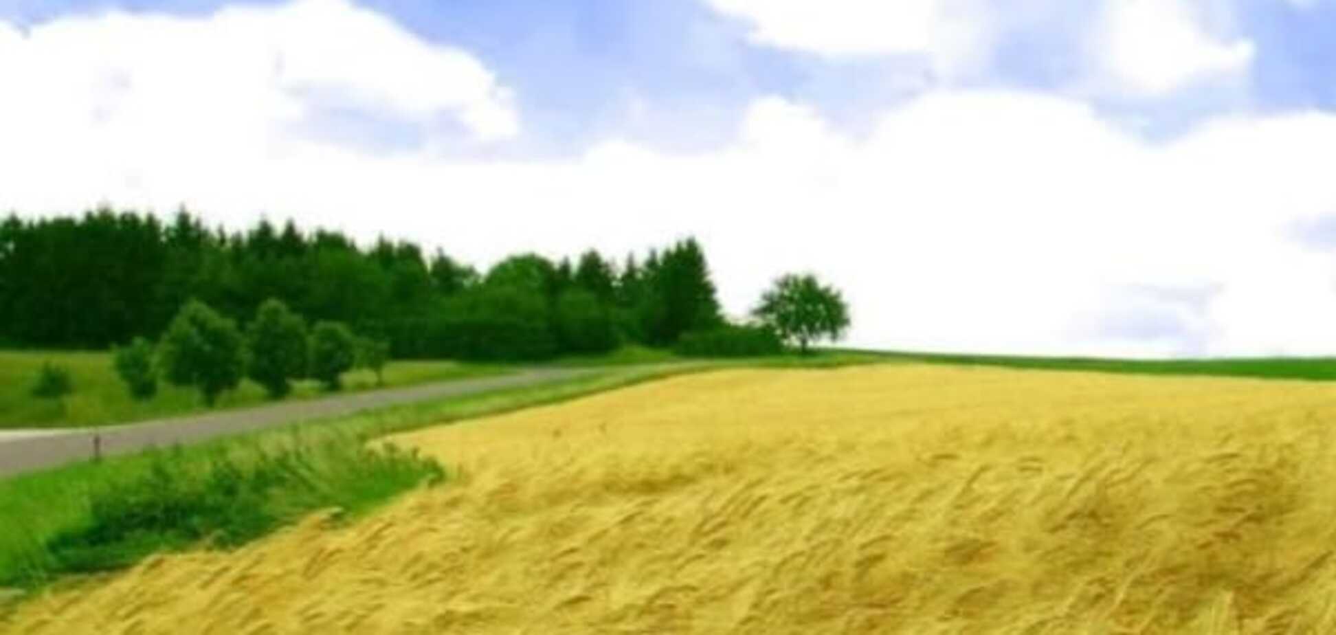 'Семья' президента хочет украсть землю у украинского народа