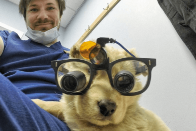 Собачий тато: дантист став зіркою мережі через 'мімішні' фото хвостатих