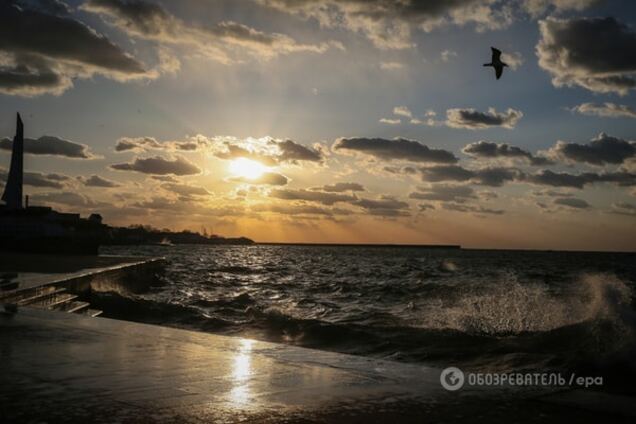 В Севастополе под надзором полиции устроили дискотеку с советскими песнями