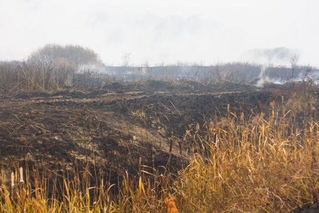 Торф'яні пожежі під Києвом залишилися в 7 районах
