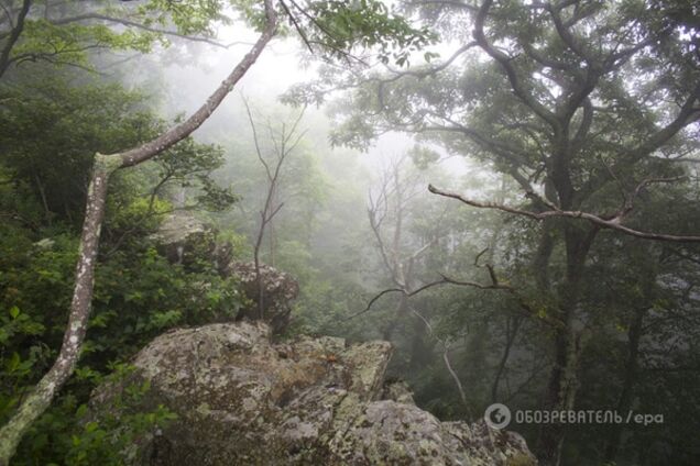 5 шикарных стран, где украинцы могут сэкономить на отдыхе