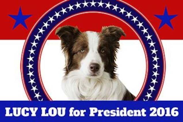 Собака представила список дел, которые сделает на посту президента США