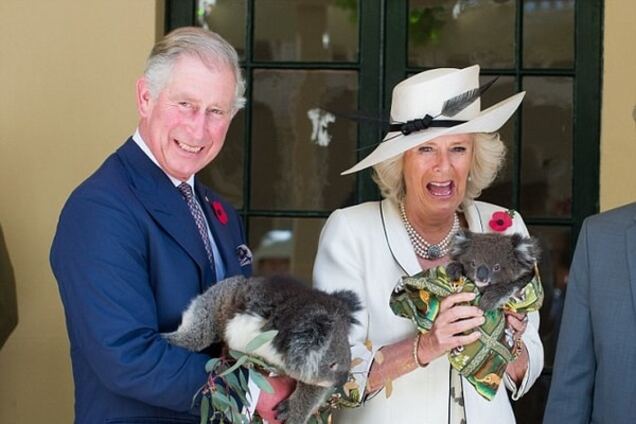 Жена принца Чарльза оконфузилась во время визита в Новую Зеландию: фотофакт