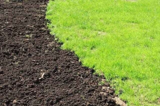 Меж Сциллой и Харибдой, или Как Минфин и Госгеокадастр хоронят приватизацию