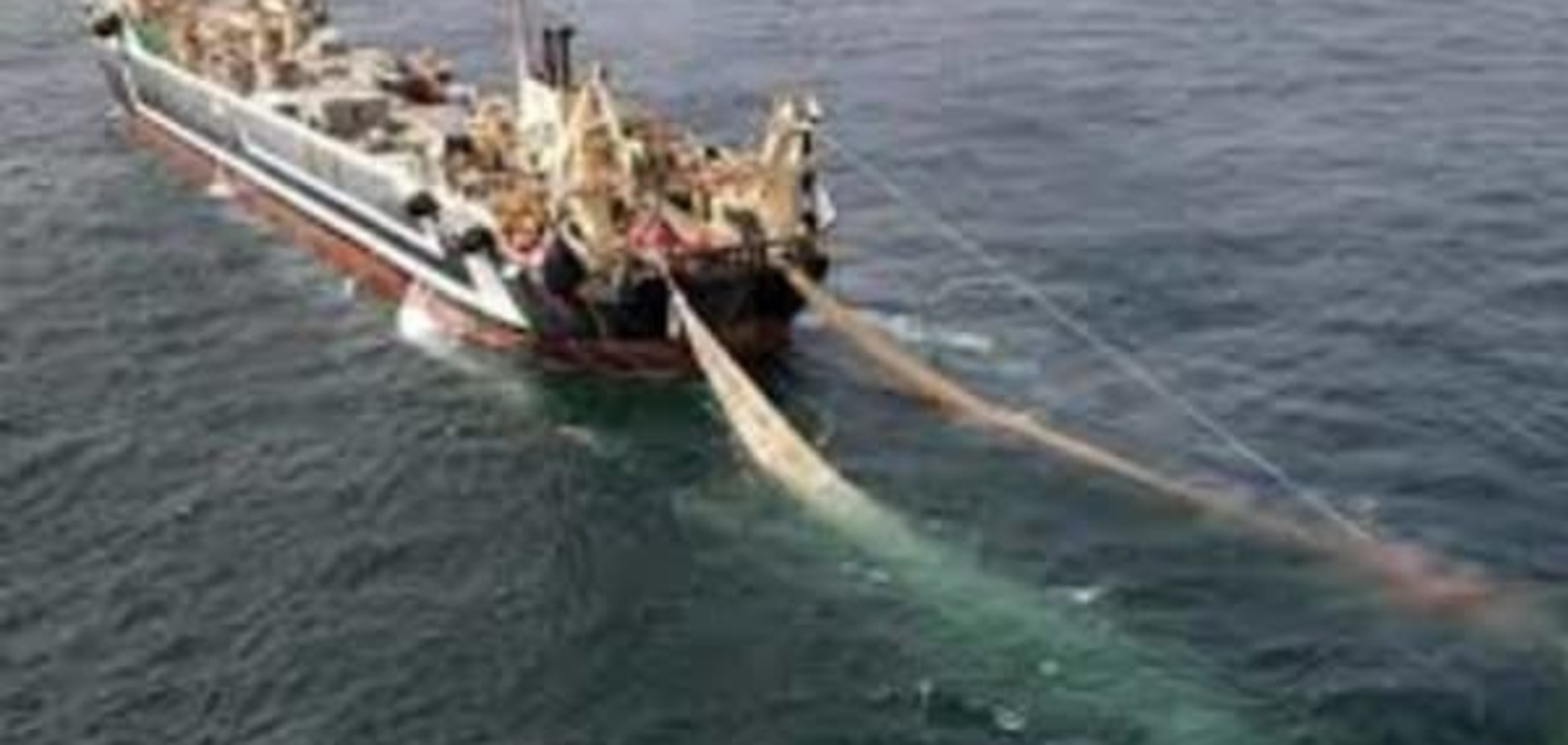 В Украине появится новый обязательный сертификат