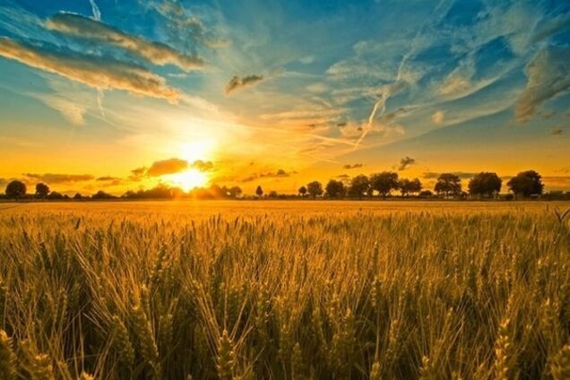 Каминг аут. Я - украинец!