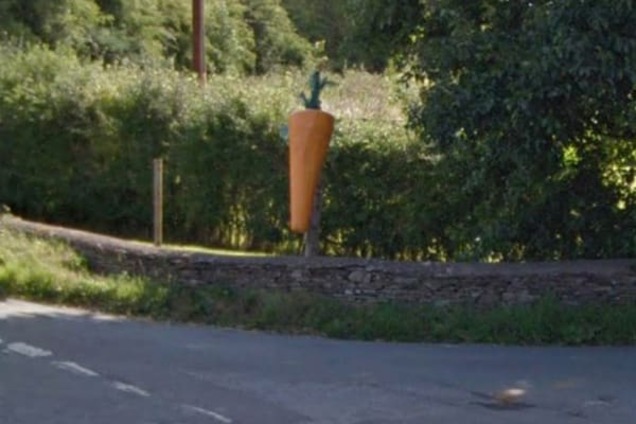 А причем тут Яценюк? У принца Чарльза украли 100-килограммовую морковь