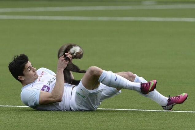 Топ-6 случаев 'зверской' остановки спортивных матчей