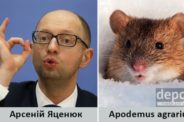 Миші та бульдоги: Яценюка, Меркель та інших політиків порівняли з тваринами
