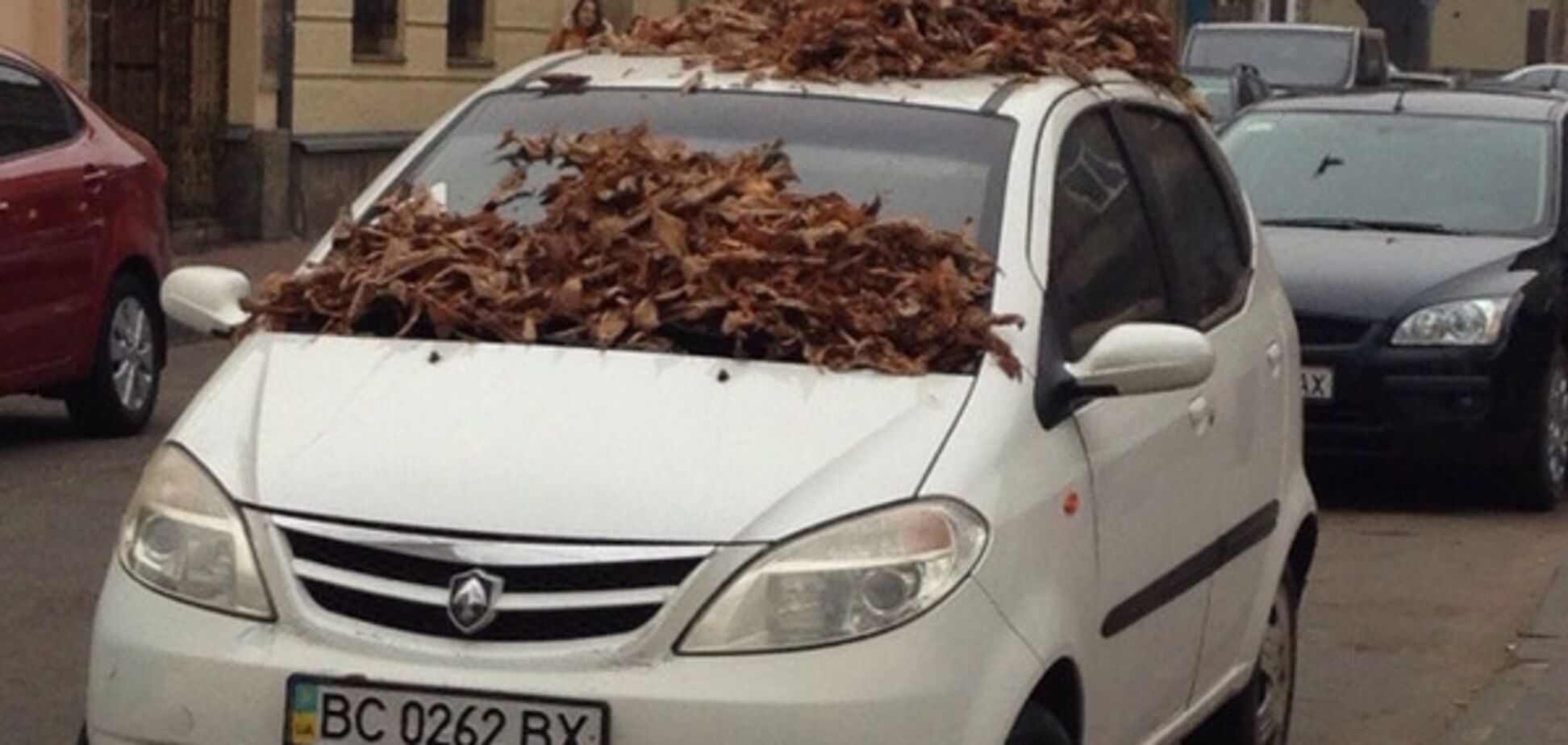 У Львові оригінально провчили чергового 'героя парковки': фотофакт
