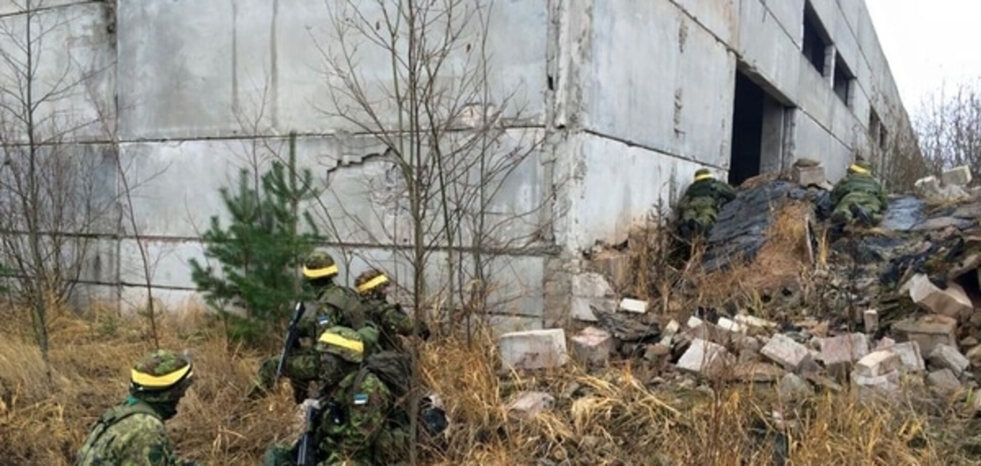 Горячие эстонские парни