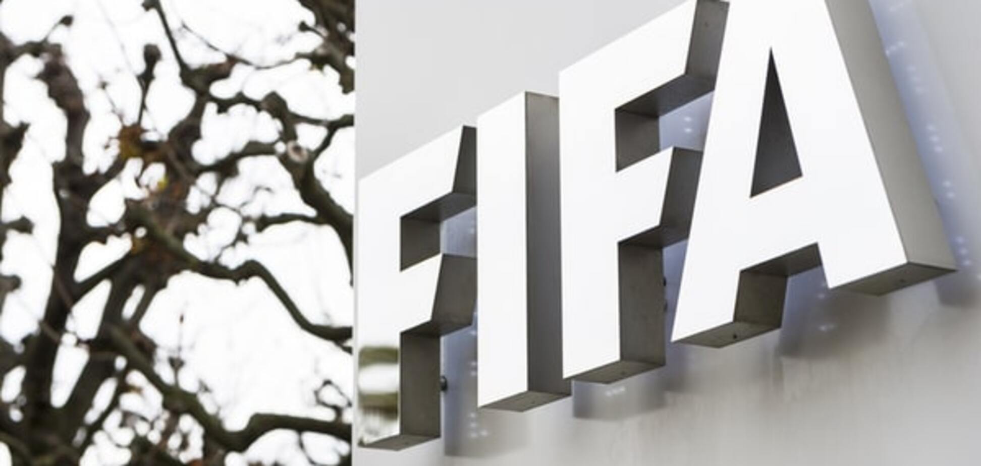 ФИФА назвала десятку самых красивых голов 2015 года