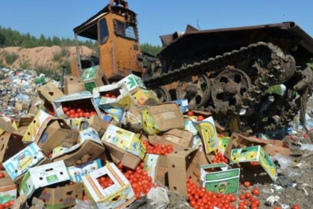 Война с продуктами: в России похвастались объемами утилизации 'санкционки'